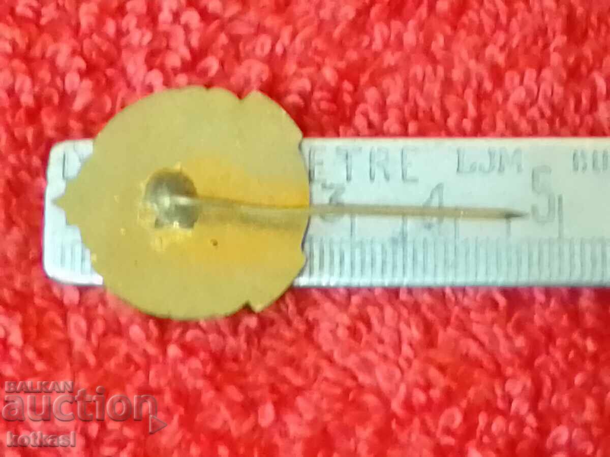 Old social badge bronze pin enamel Excellent MNProsveta with price 21.00 BGN | € 10.74 Old social badge bronze pin enamel Excellent MNProsveta with price 21.00 BGN | € 10.74