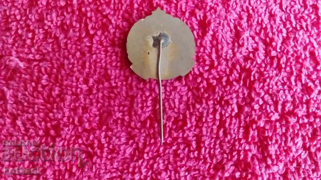 Old social badge bronze pin enamel Excellent MNProsveta - 5 Old social badge bronze pin enamel Excellent MNProsveta - 5