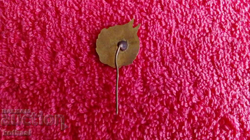 Стара соц значка бронз игла емайл Отличник ОФ отлично състоя - 5 Стара соц значка бронз игла емайл Отличник ОФ отлично състоя - 5