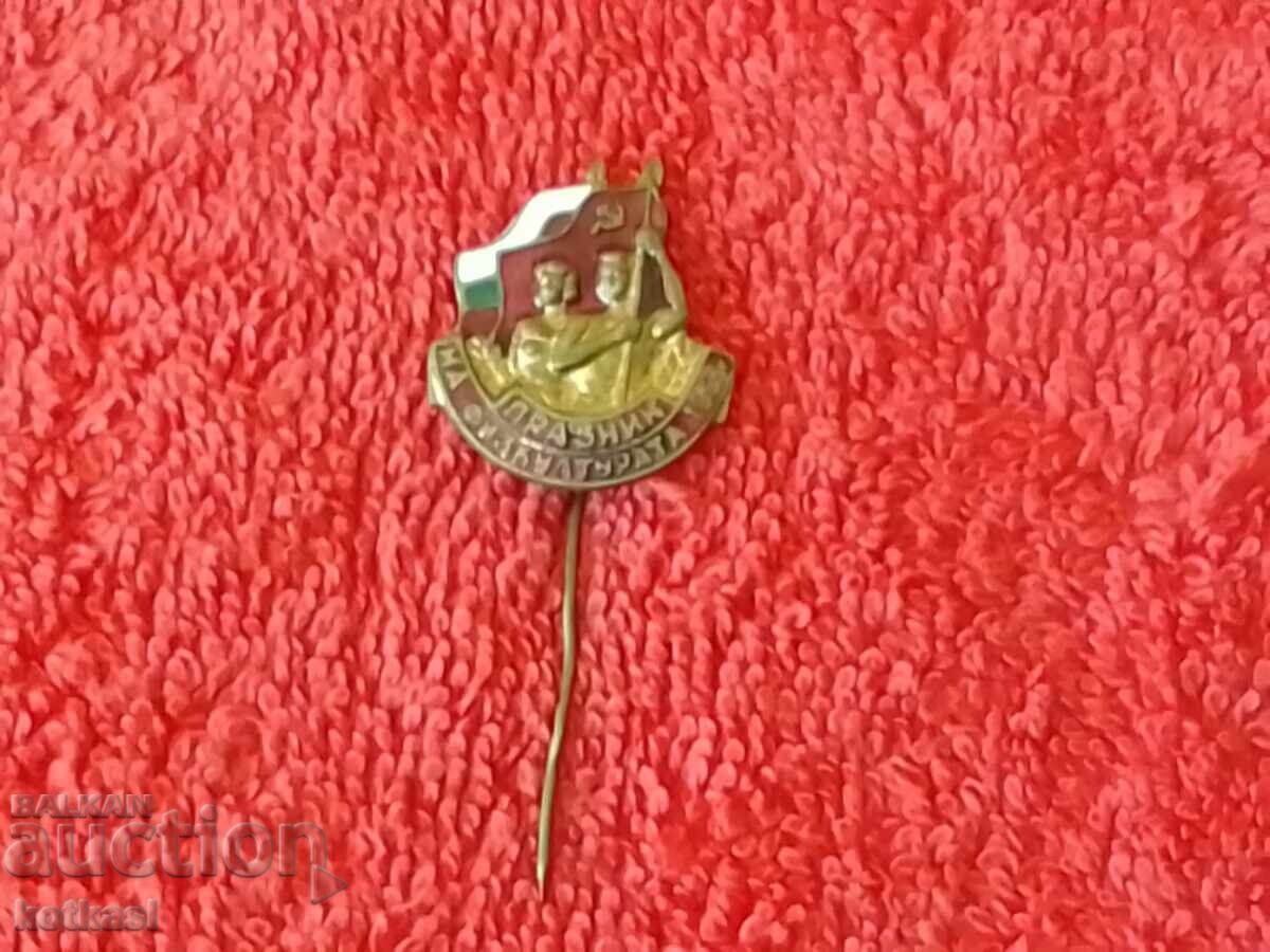 Auction Old social sign solid bronze enamel PHYSICAL EDUCATION HOLIDAY 1953 Auction Old social sign solid bronze enamel PHYSICAL EDUCATION HOLIDAY 1953