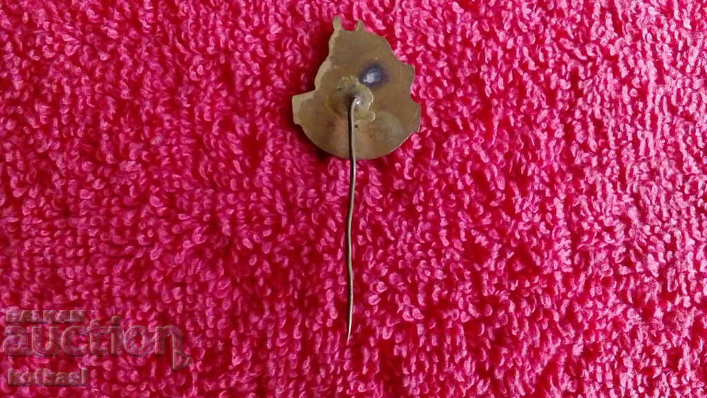 Παλιό κοινωνικό ζώδιο συμπαγές χάλκινο σμάλτο ΦΥΣΙΚΗ ΑΓΩΓΗ ΔΙΑΚΟΠΗ 1953 - 5