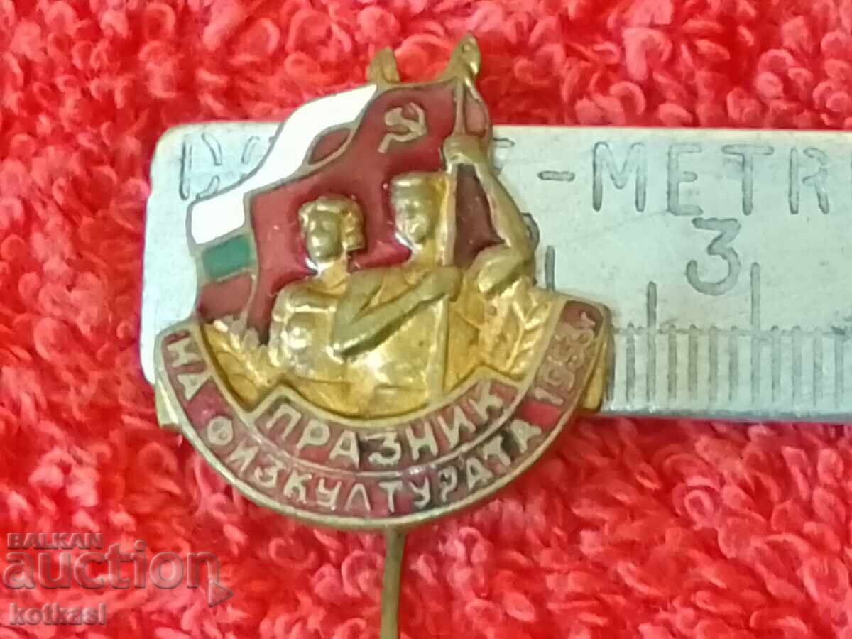 Old social sign solid bronze enamel PHYSICAL EDUCATION HOLIDAY 1953 Old social sign solid bronze enamel PHYSICAL EDUCATION HOLIDAY 1953