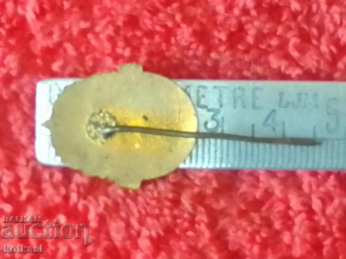 Παλιό σήμα κοινωνικής δικτύωσης συμπαγές χάλκινο σμάλτο καρφίτσας 1879 PTT 1959 με τιμή € 33.50 | 65.52 BGN