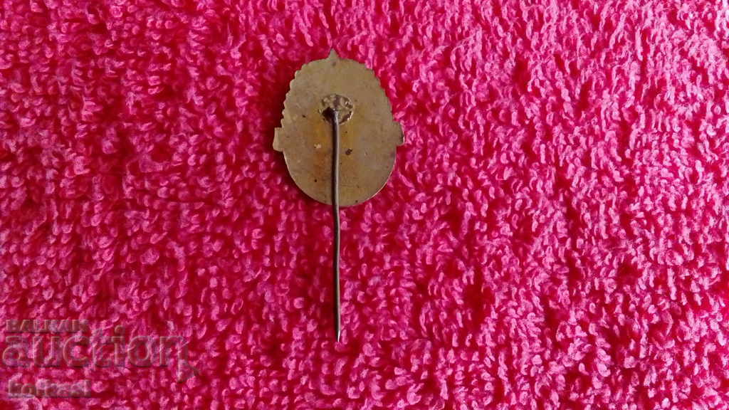 Παλιό σήμα κοινωνικής δικτύωσης συμπαγές χάλκινο σμάλτο καρφίτσας 1879 PTT 1959 - 5