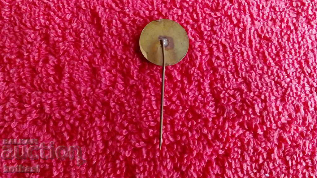 Delivery of Old badge bronze pin enamel B.T.S. Bulgarian Commercial Union Delivery of Old badge bronze pin enamel B.T.S. Bulgarian Commercial Union