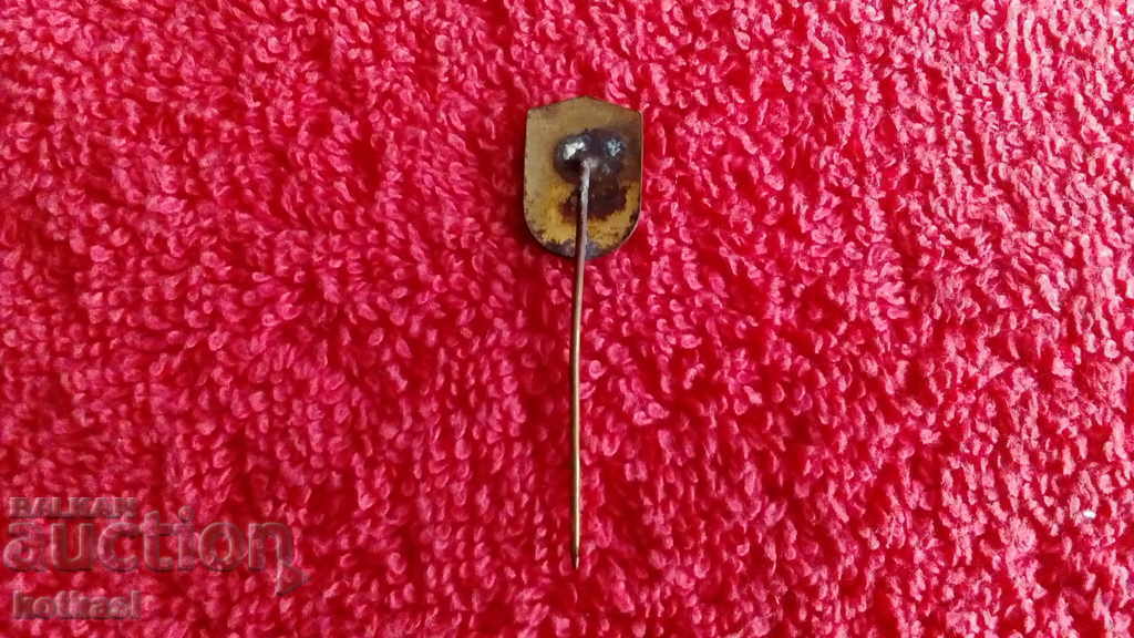 Old Tsar's Badge Hor' Gusla bronze pin enamel HOR GUSLA - 5