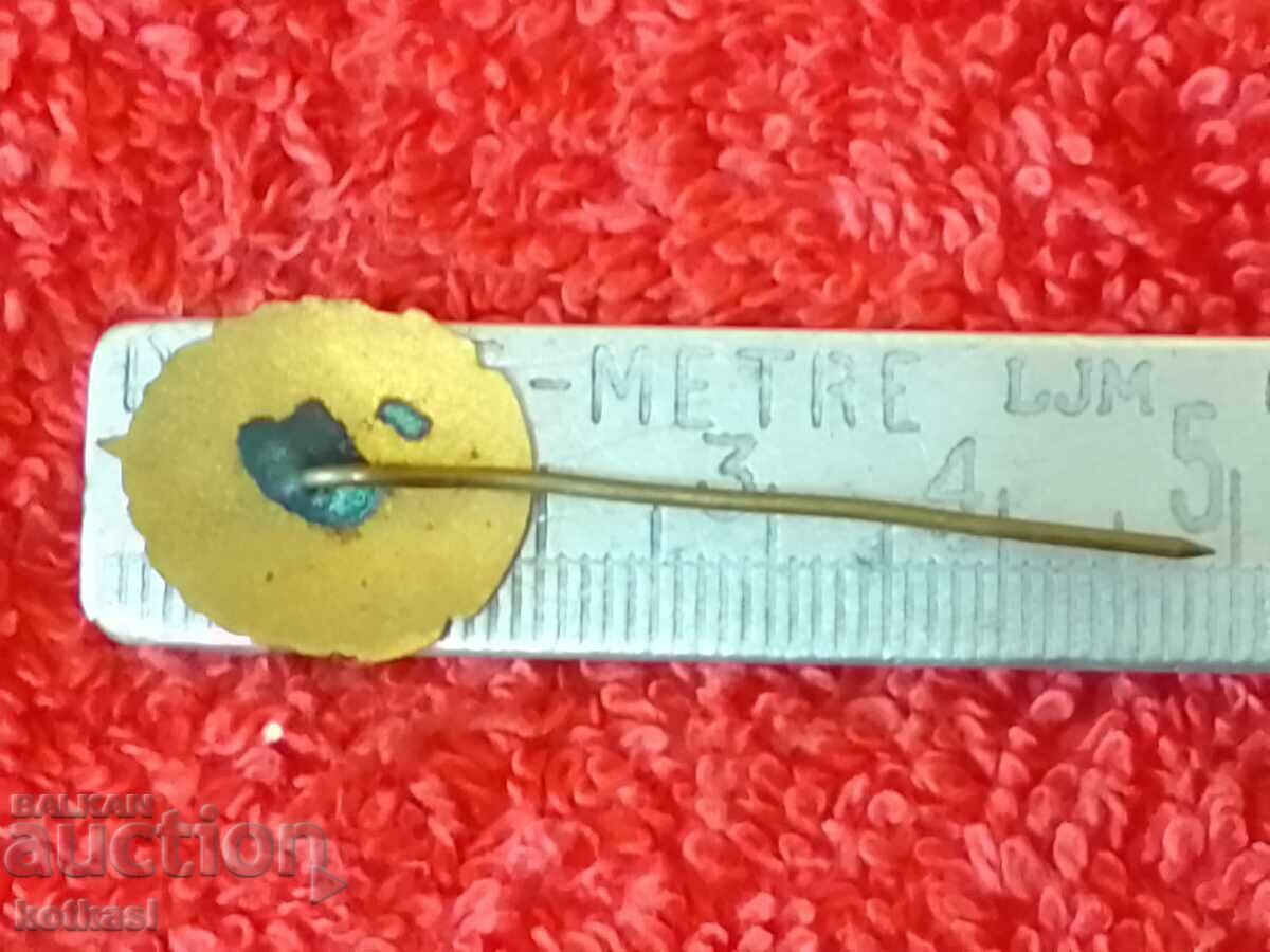 Veche insignă socială bronz pin email MINERALS' UNION excelent cu preț 25.50 BGN | € 13.04 Veche insignă socială bronz pin email MINERALS' UNION excelent cu preț 25.50 BGN | € 13.04