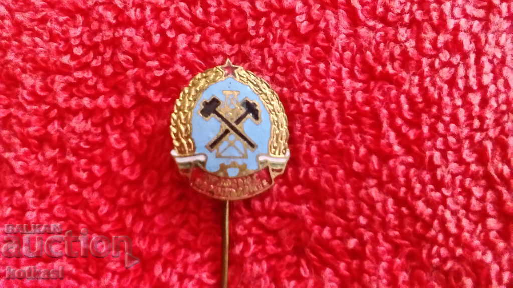 Veche insignă socială bronz pin email MINERALS' UNION excelent - 5 Veche insignă socială bronz pin email MINERALS' UNION excelent - 5