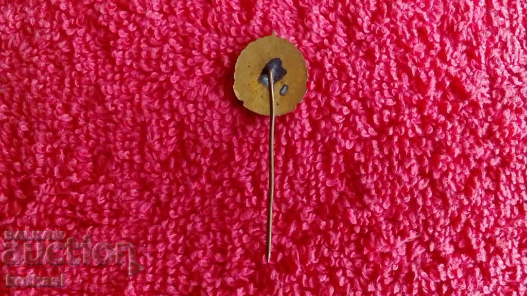 Veche insignă socială bronz pin email MINERALS' UNION excelent - 6 Veche insignă socială bronz pin email MINERALS' UNION excelent - 6