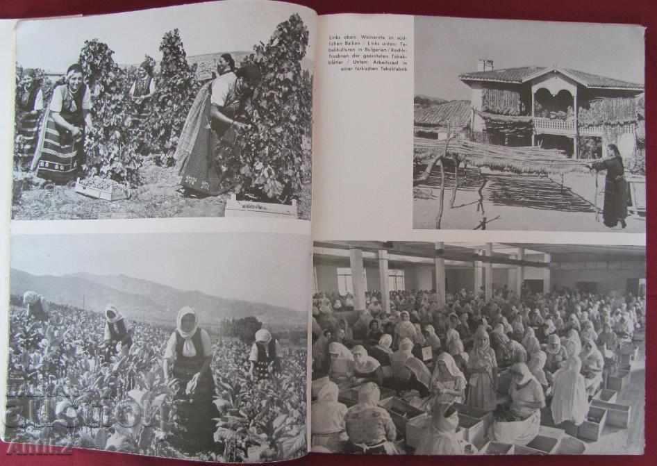 1939. Carte - Balcanii VOLK UND REICH rare - 7