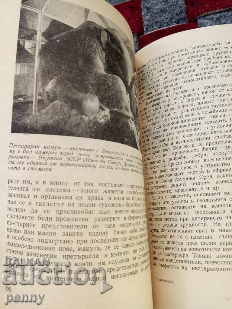 Delivery of The quarterback - Ivan Vaptsarov