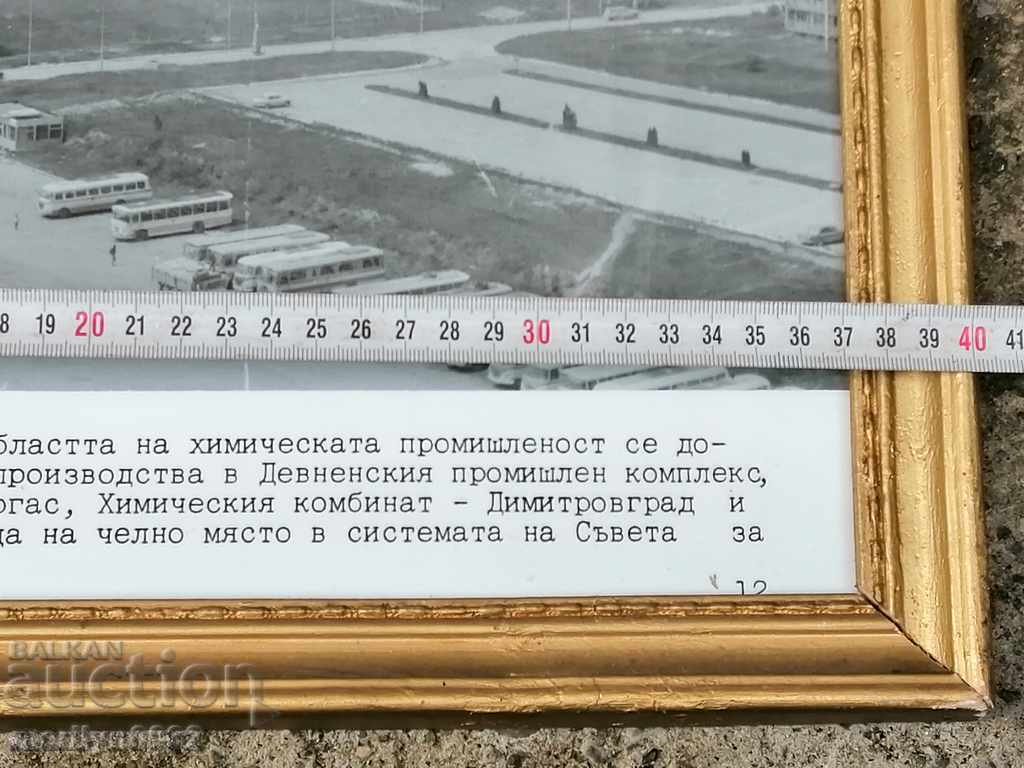 Auction Portrait of social media propaganda picture in picture frame Auction Portrait of social media propaganda picture in picture frame