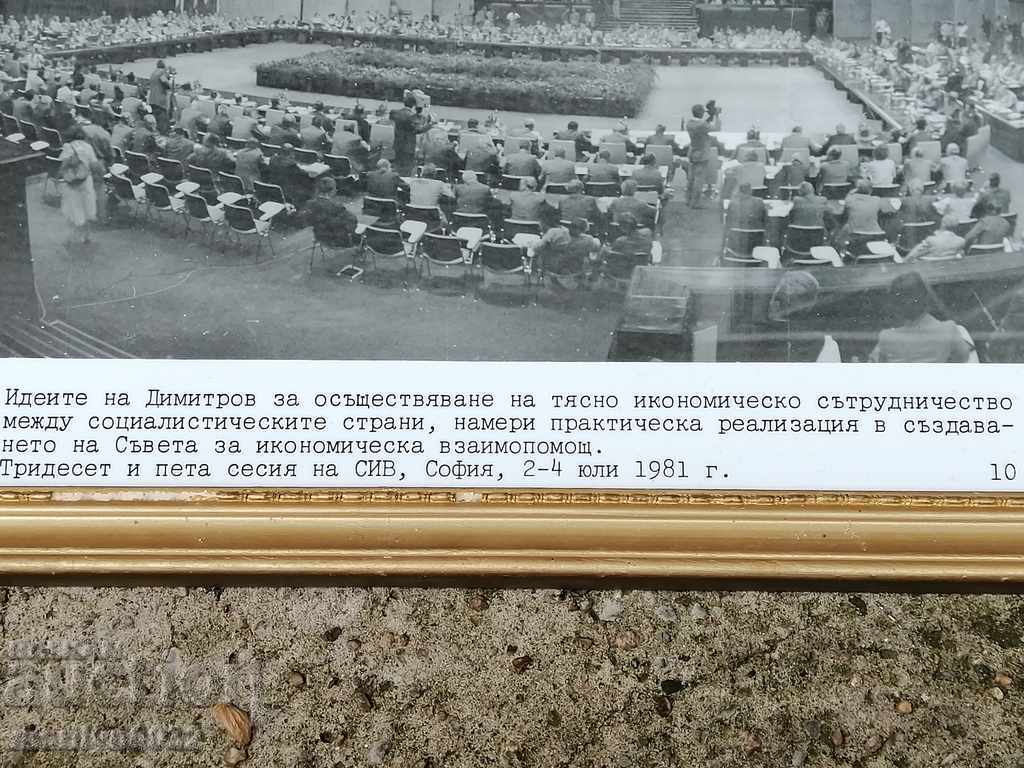 Portrait of social media propaganda picture in picture frame with price 48.00 BGN | € 24.54