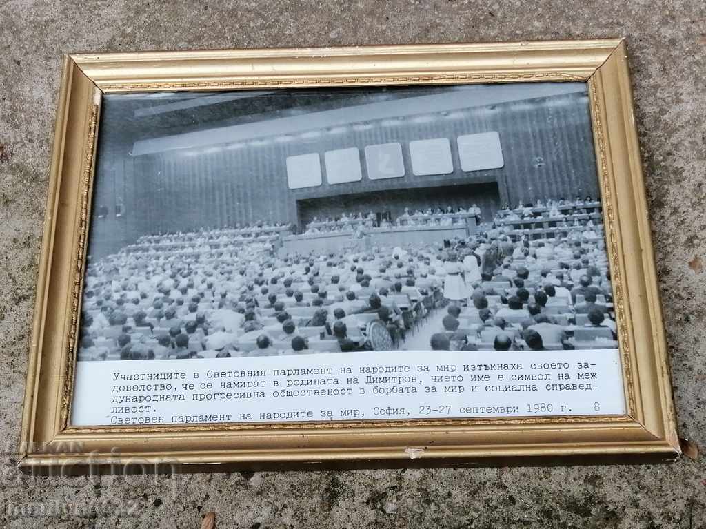 Portrait of social media propaganda picture in picture frame with price 48.00 BGN | € 24.54 Portrait of social media propaganda picture in picture frame with price 48.00 BGN | € 24.54