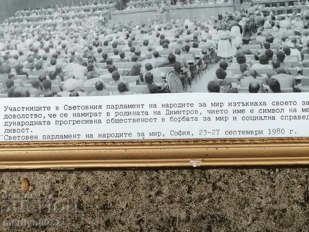 Portrait of social media propaganda picture in picture frame - 6 Portrait of social media propaganda picture in picture frame - 6