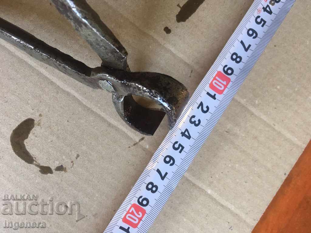 PURPLE CARPED INSTRUMENT STAR with price 11.00 BGN | € 5.62 PURPLE CARPED INSTRUMENT STAR with price 11.00 BGN | € 5.62