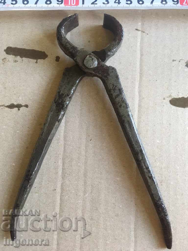 Auction PURPLE CARPED INSTRUMENT STAR Auction PURPLE CARPED INSTRUMENT STAR