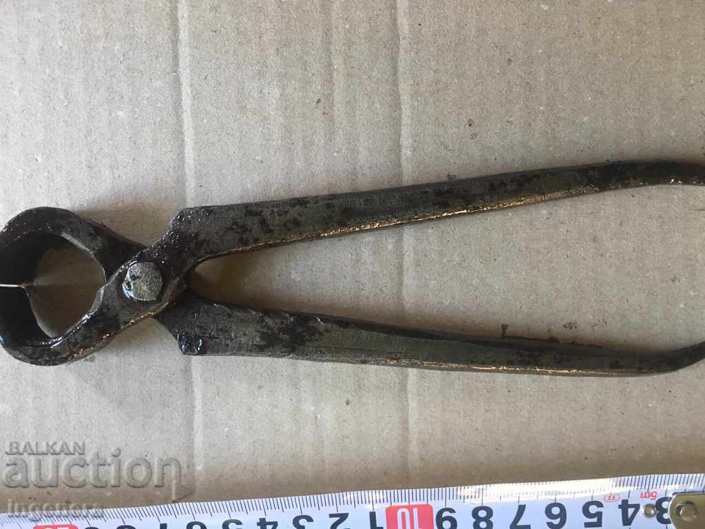 Delivery of PURPLE CARPED INSTRUMENT STAR Delivery of PURPLE CARPED INSTRUMENT STAR