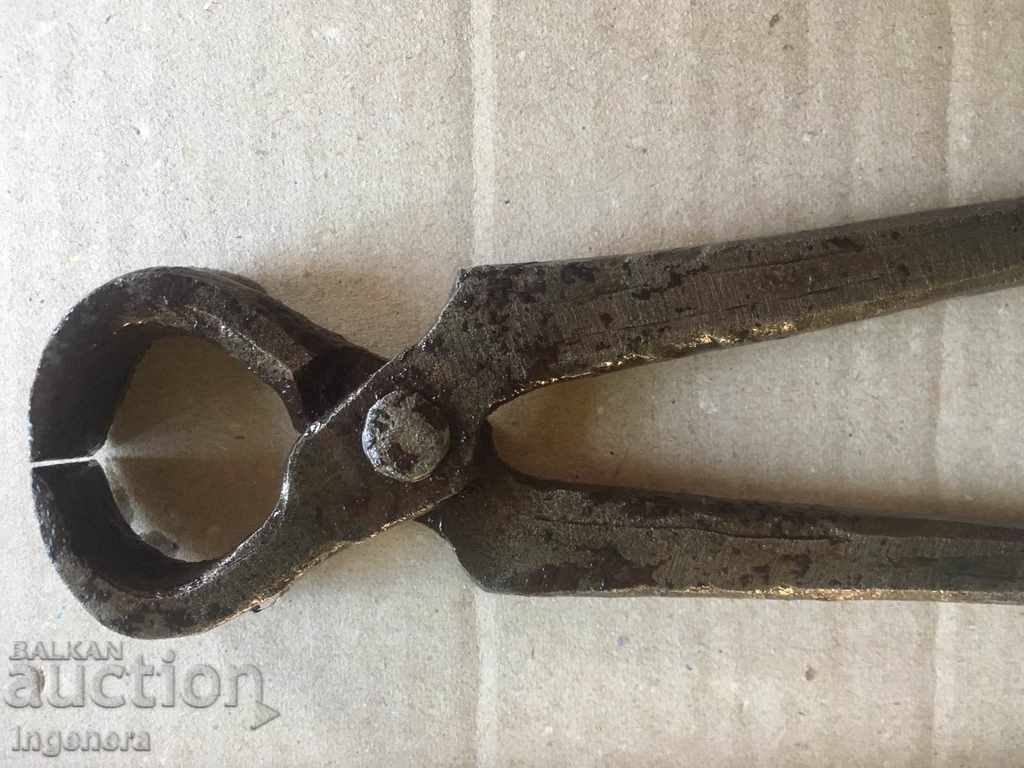 PURPLE CARPED INSTRUMENT STAR - 5 PURPLE CARPED INSTRUMENT STAR - 5