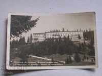 Old postcard made of sots - V. Kolarov's summer resort