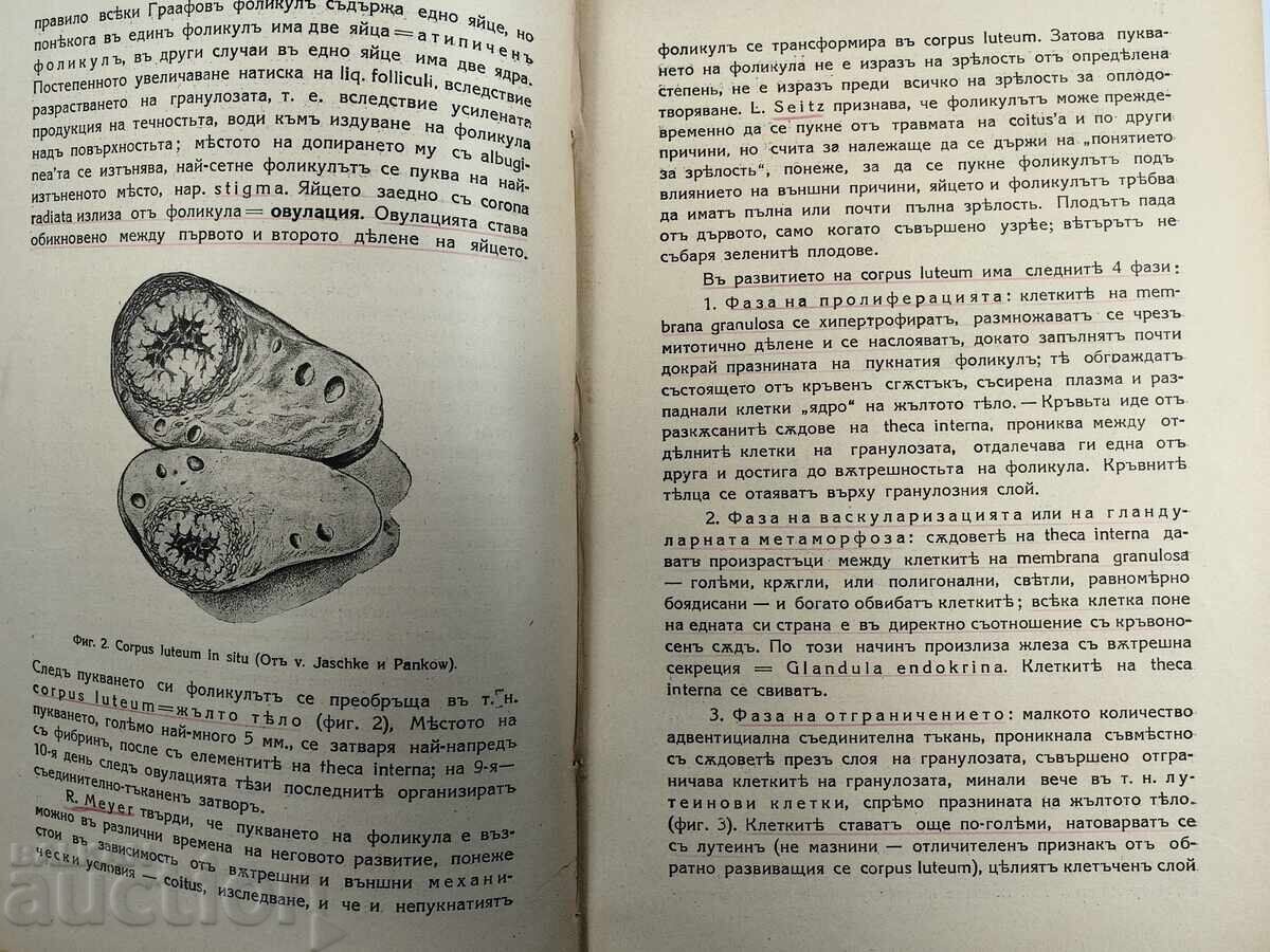 . 1926 GYNECOLOGICAL SYMPTOMATOLOGY GYNECOLOGICAL GYNECOLOGY - 6 . 1926 GYNECOLOGICAL SYMPTOMATOLOGY GYNECOLOGICAL GYNECOLOGY - 6