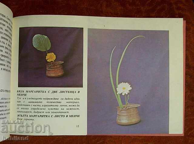 Delivery of Ikebana - Rima Mirska Delivery of Ikebana - Rima Mirska