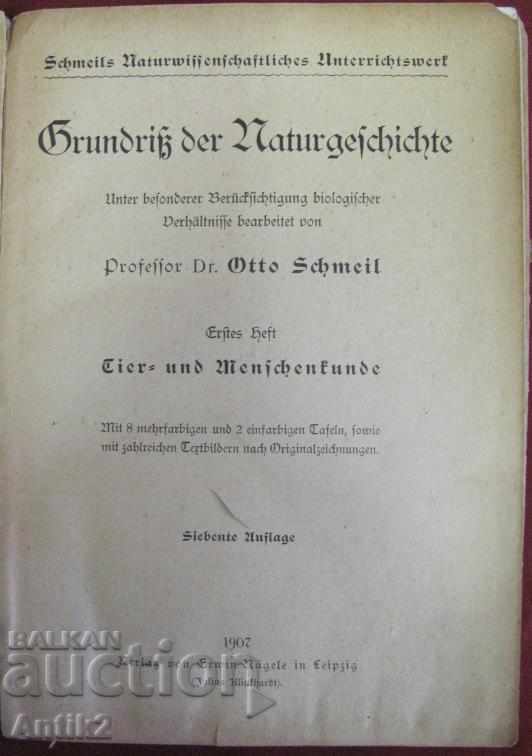 1907 Book for Animals and Birds Prof.O.SCHMEIL with price 260.00 BGN | € 132.94
