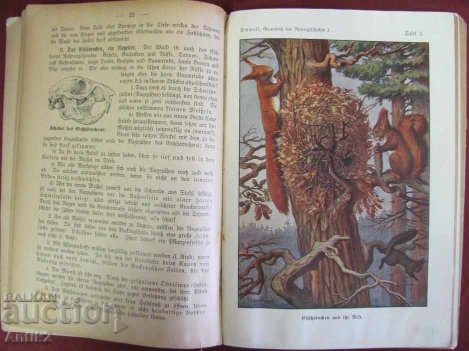Auction  1907 Book for Animals and Birds Prof.O.SCHMEIL