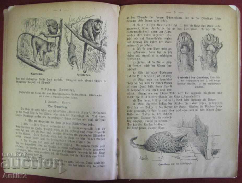 1907 Book for Animals and Birds Prof.O.SCHMEIL - 7