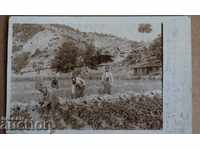 .1918 SOLDIERS GARDEN FIRST WORLD WAR PSV MILITARY PHOTOS