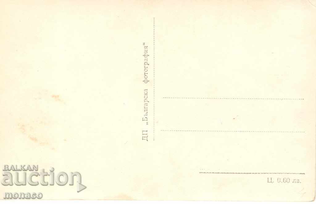 Old Postcard - Panagyurishte, Colonies - General with price 2.00 BGN | € 1.02 Old Postcard - Panagyurishte, Colonies - General with price 2.00 BGN | € 1.02