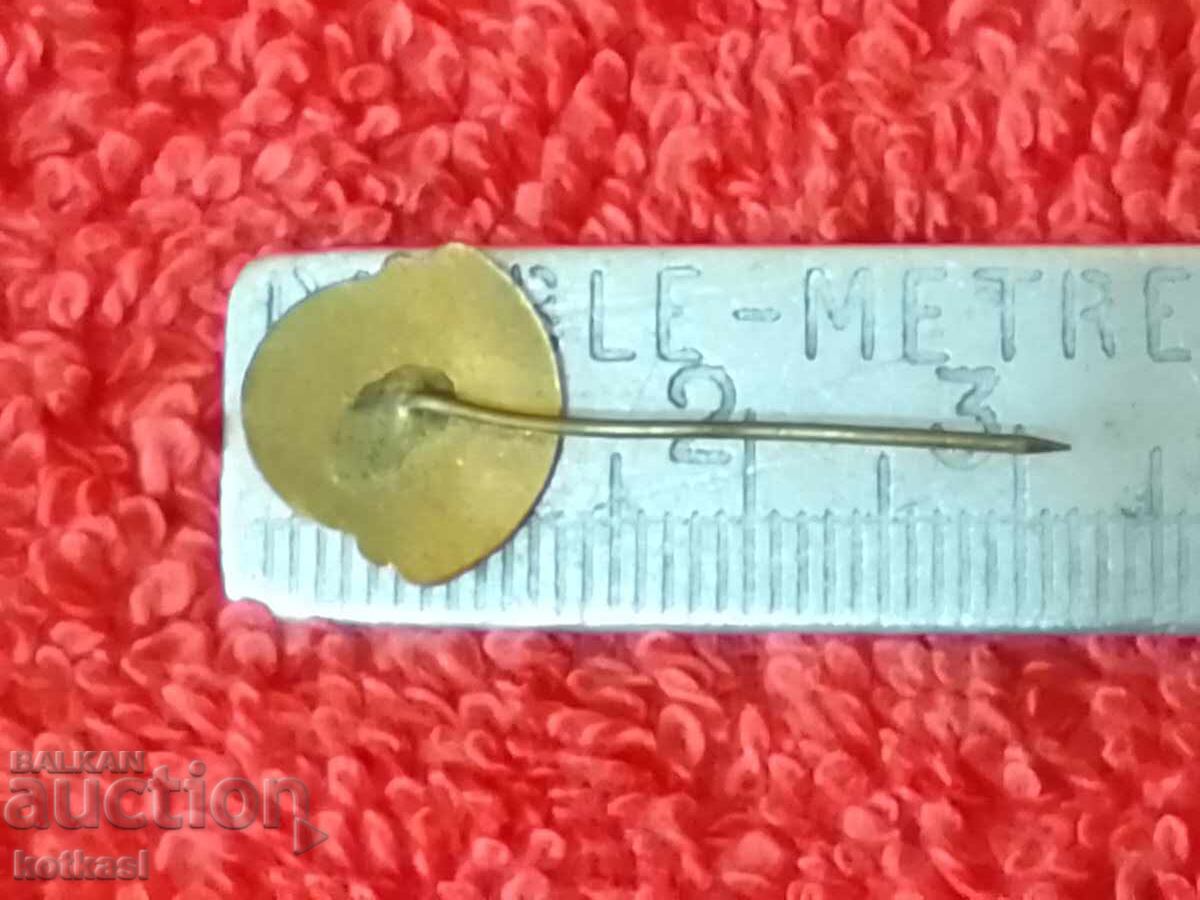 Old badge bronze needle enamel Esperanto ESPERANTO with price 5.50 BGN | € 2.81 Old badge bronze needle enamel Esperanto ESPERANTO with price 5.50 BGN | € 2.81