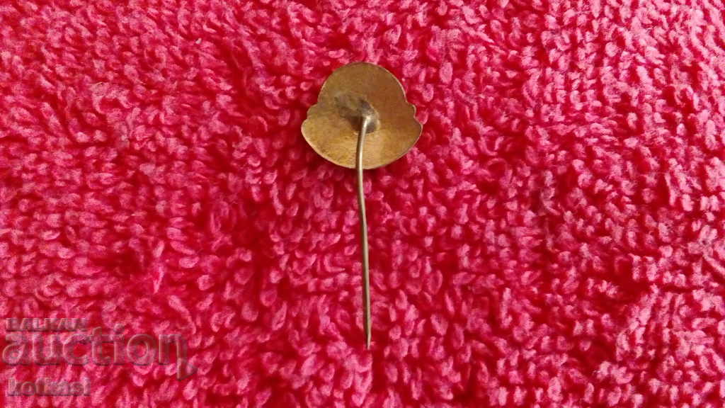 Delivery of Old badge bronze needle enamel Esperanto ESPERANTO Delivery of Old badge bronze needle enamel Esperanto ESPERANTO