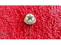 Old bronze needle badge enamel Esperanto ESPERANTO