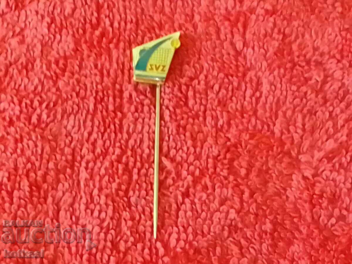 Auction  Old solid sports badge bronze pin Volleyball