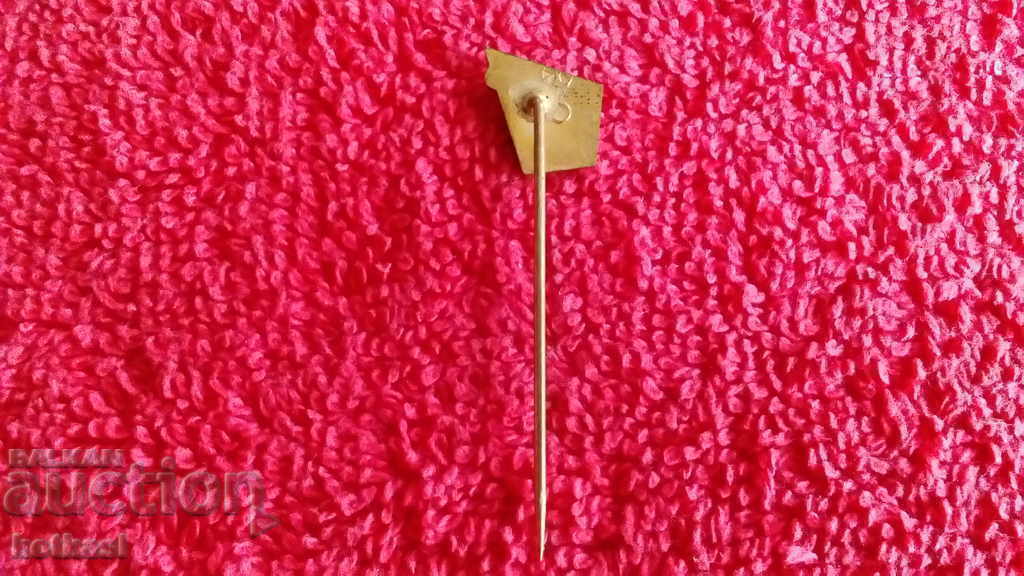 Old solid sports badge bronze pin Volleyball - 5