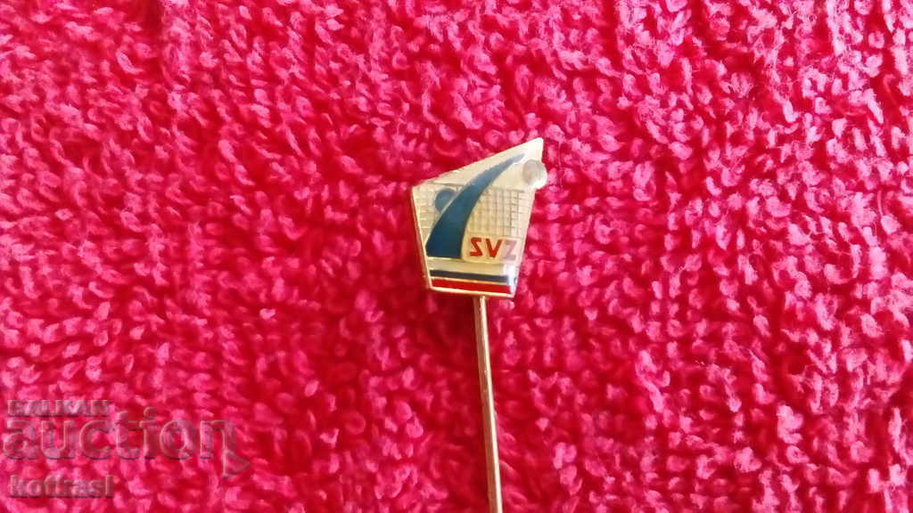 Old solid sports badge bronze pin Volleyball