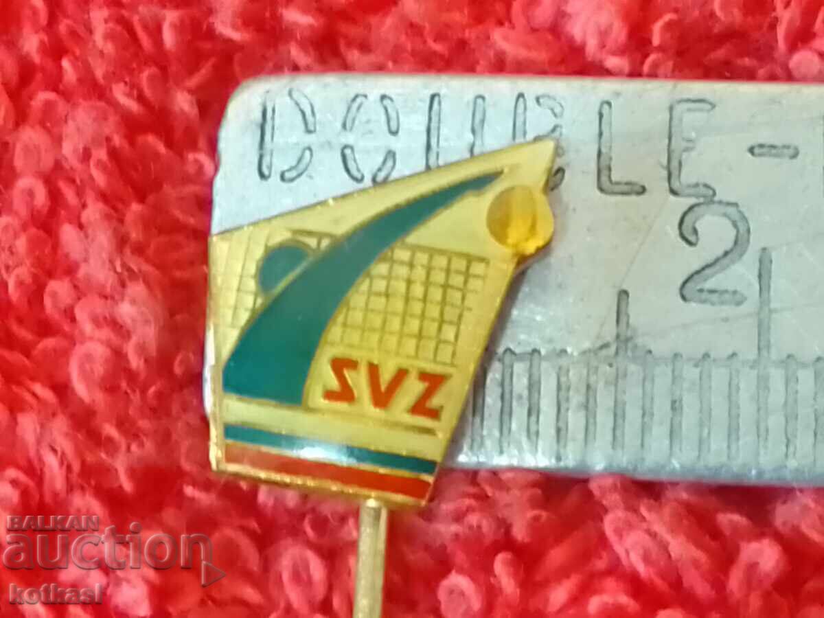 Old solid sports badge bronze pin Volleyball
