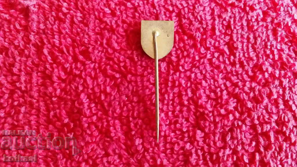 Vechi Bronz Solid Pin Sport Insigna Volei - 5