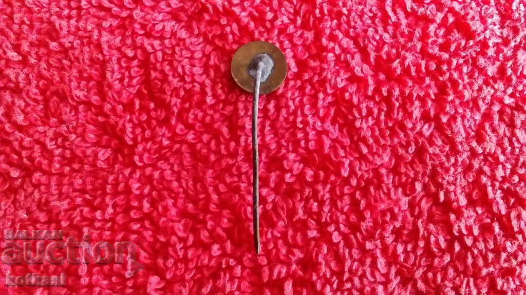 Delivery of Old badge bronze pin enamel A Delivery of Old badge bronze pin enamel A