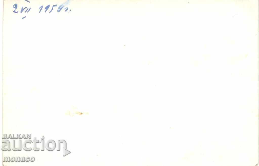 Old Postcard - Govedartsi, General with price 1.70 BGN | € 0.87 Old Postcard - Govedartsi, General with price 1.70 BGN | € 0.87