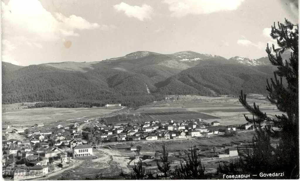 Стара картичка - Говедарци, Общ изглед