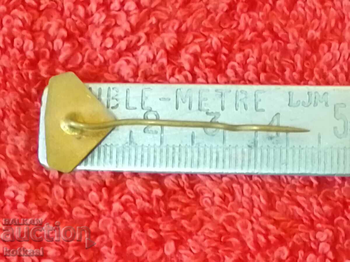 Old Solid Bronze DOPRAVA Pin Badge with price 2.50 BGN | € 1.28 Old Solid Bronze DOPRAVA Pin Badge with price 2.50 BGN | € 1.28