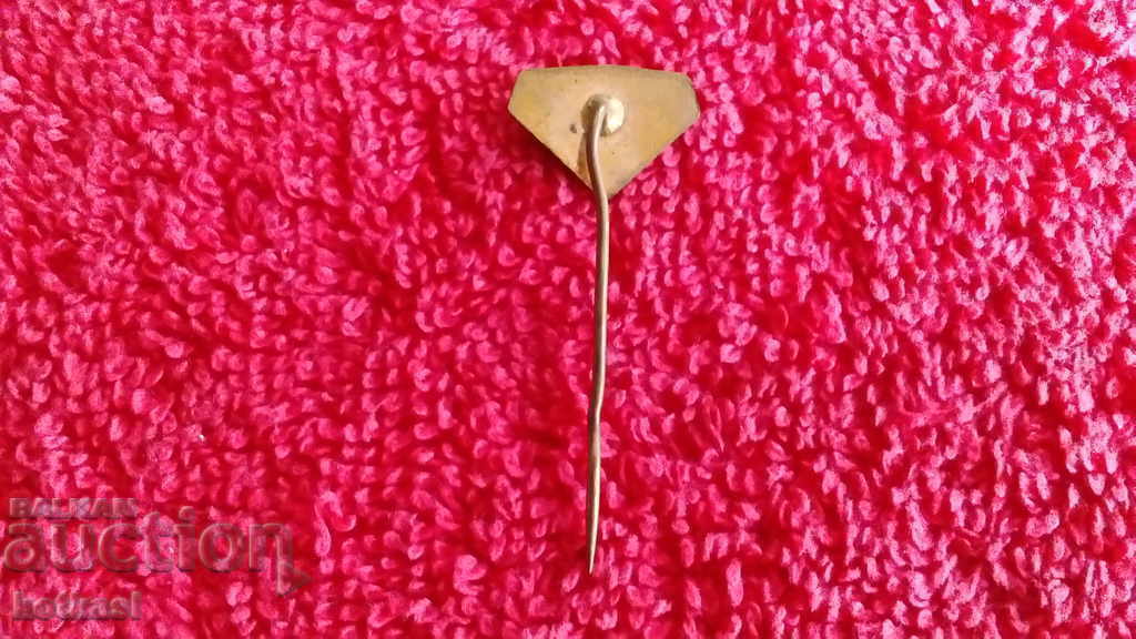 Delivery of Old Solid Bronze DOPRAVA Pin Badge Delivery of Old Solid Bronze DOPRAVA Pin Badge