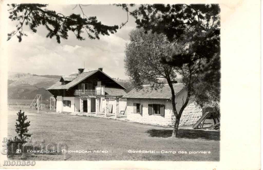 Old postcard - Govedartsi, Pioneer Camp