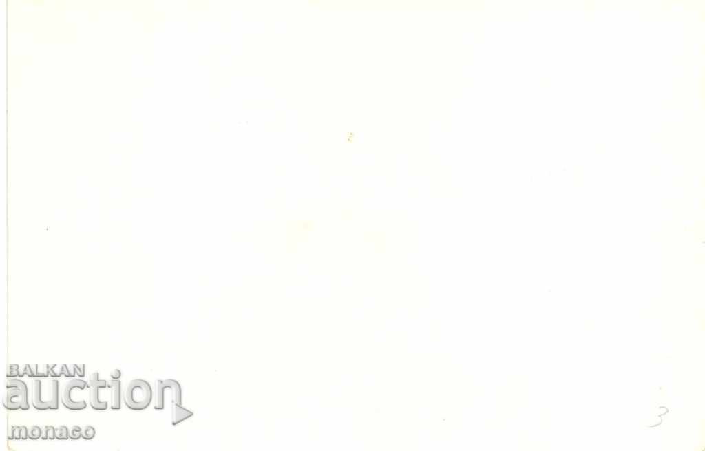 Old postcard - Govedartsi, Villa # 1 with price 2.40 BGN | € 1.23