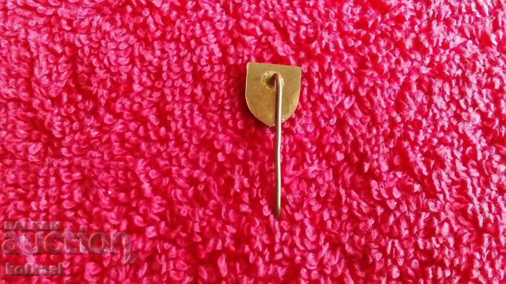 Delivery of Old Sports Badge Bronze Pin Volleyball CSVS Delivery of Old Sports Badge Bronze Pin Volleyball CSVS