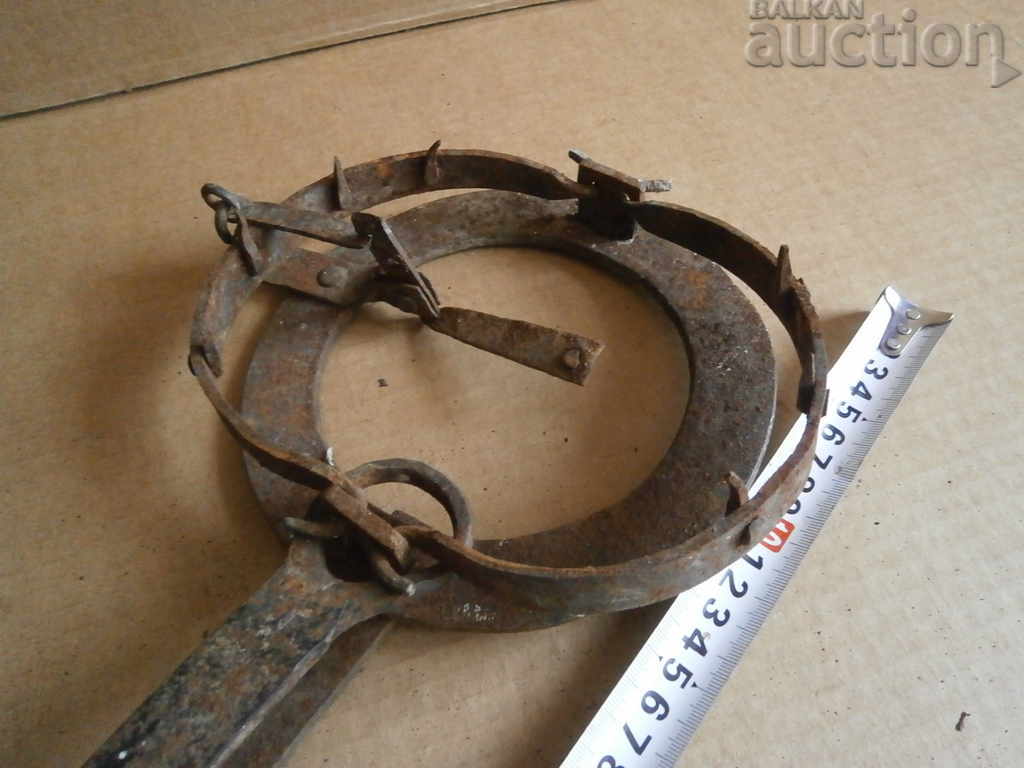 old forged trap for beaded golden ferrets WORKING - 6 old forged trap for beaded golden ferrets WORKING - 6