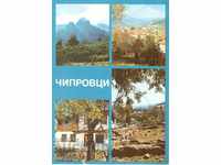 Carte poștală veche - Chiprovtsi - mix