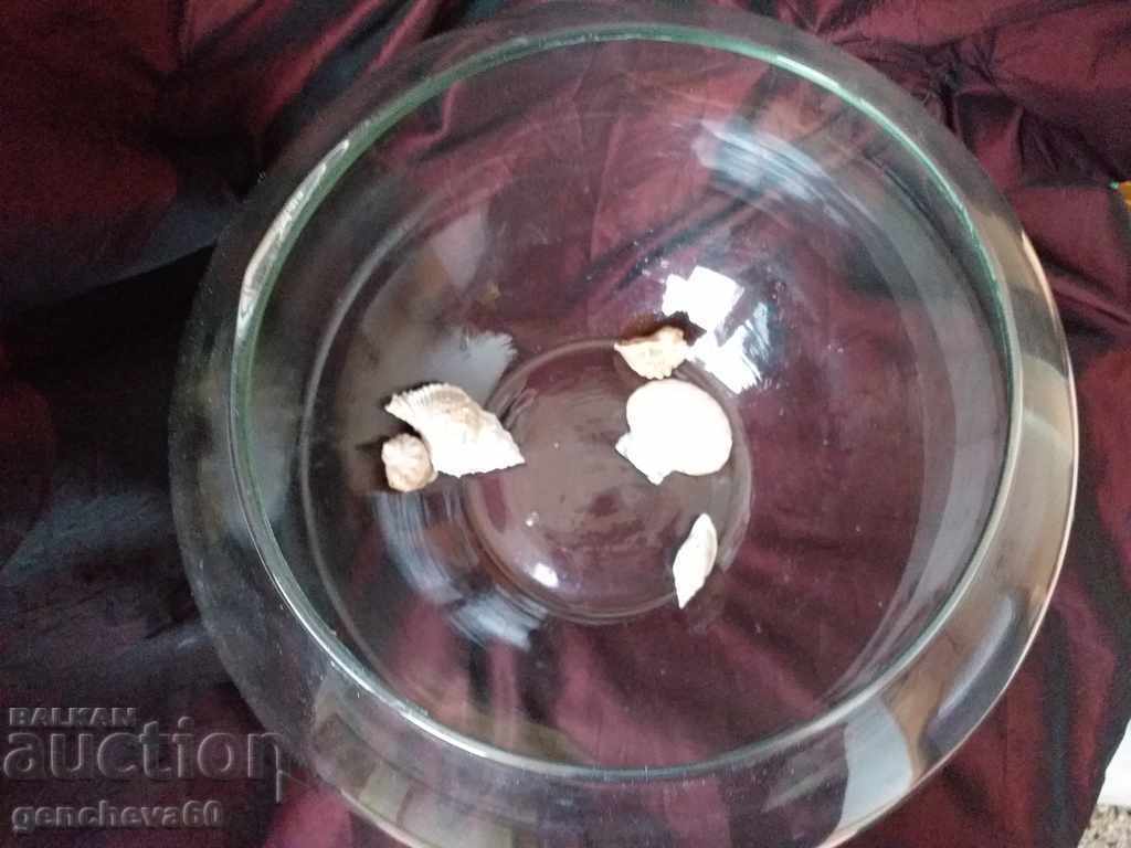 Large glass aquarium - 5